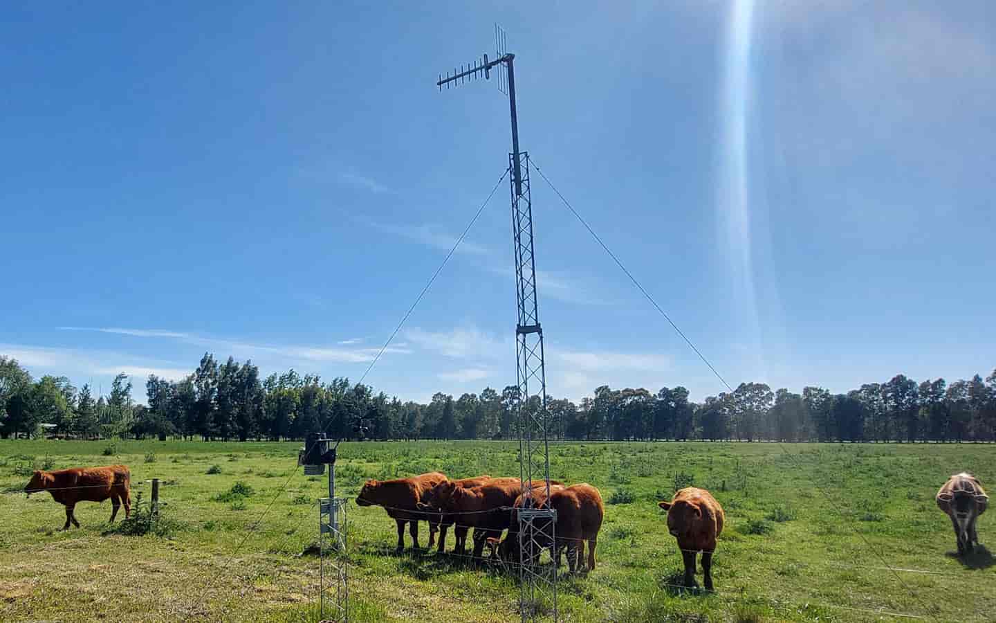 foto de la estacion meteorologica
